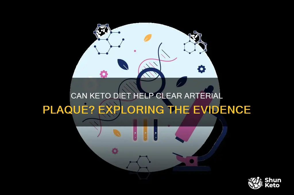 does eating keto reduce plaque in arteries