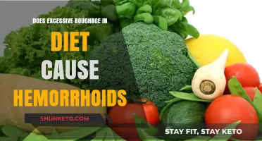 Roughage and Hemorrhoids: Is There a Link?