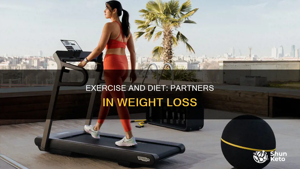 does exercise help dieting