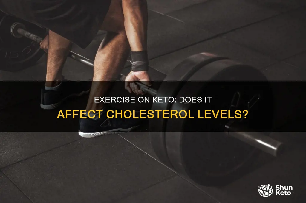 does exercise on ketogenic diet raise cholestrol level