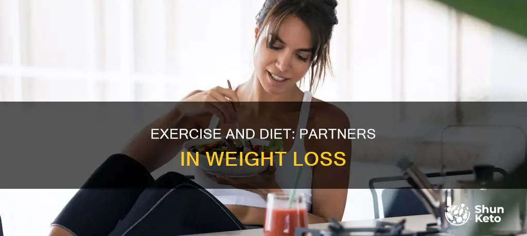 does exercise or diet make you