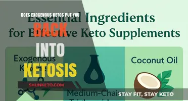 Can Exogenous Ketones Quickly Restore Ketosis? Facts and Insights