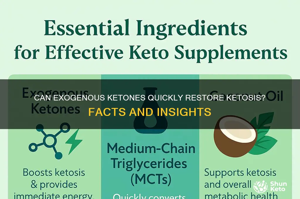 does exogenous ketos put you back into ketosis