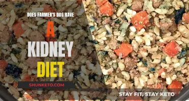 The Farmer's Dog: Kidney Diet Options for Your Pet