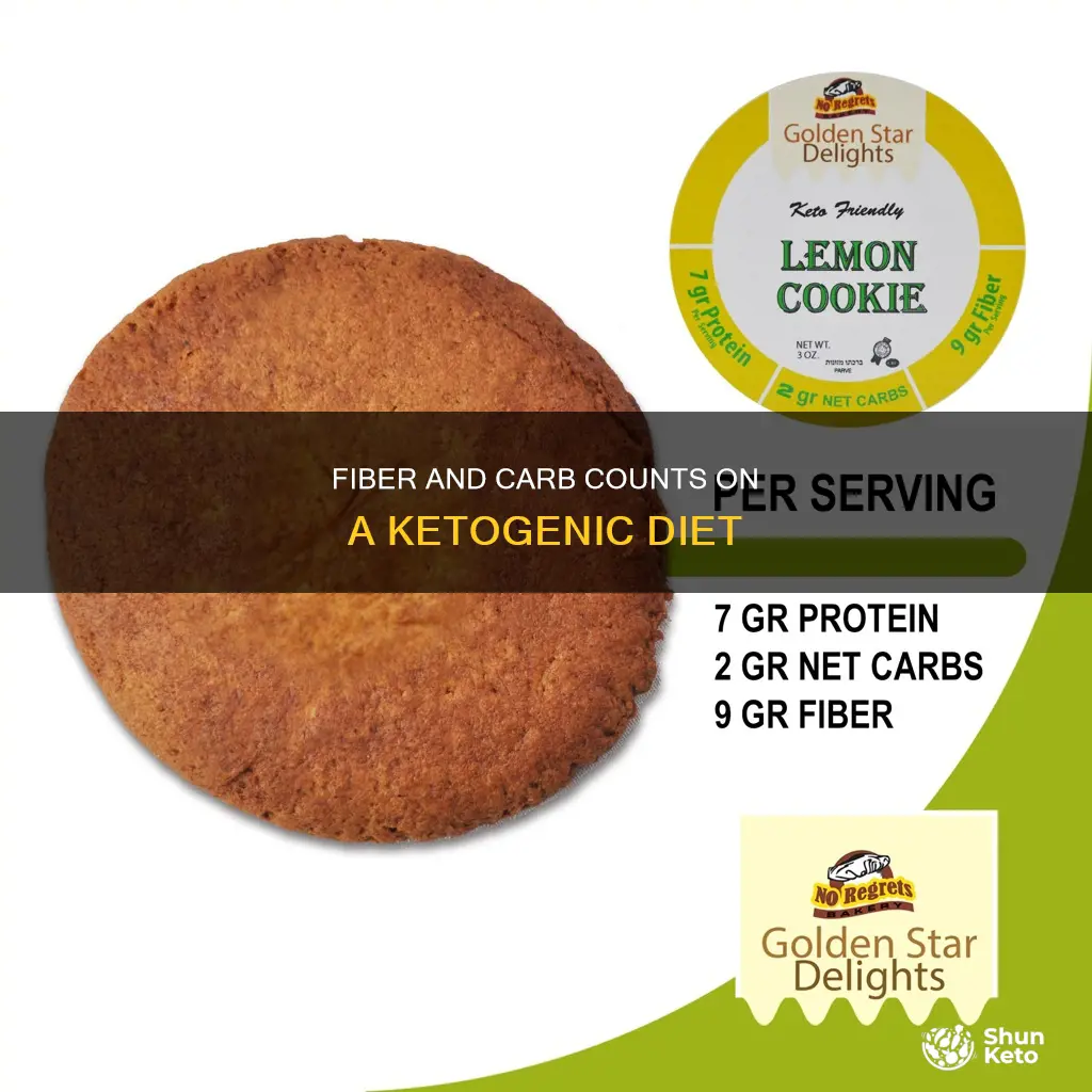 does fiber count as carbs on ketogenic diet