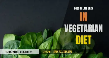 Vegetarian Diets: Folate Deficiency and Its Challenges