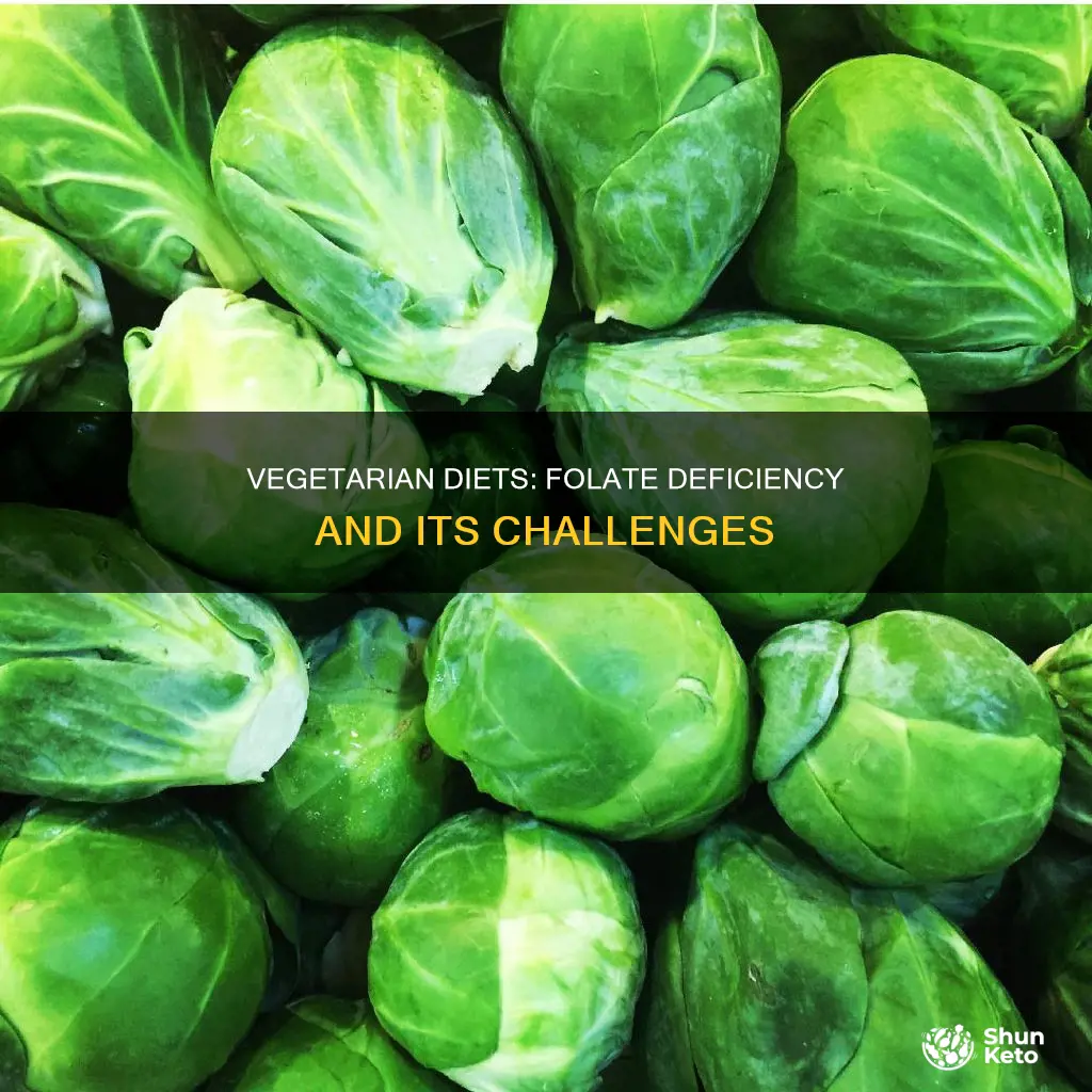 does folate lack in vegetarian diet