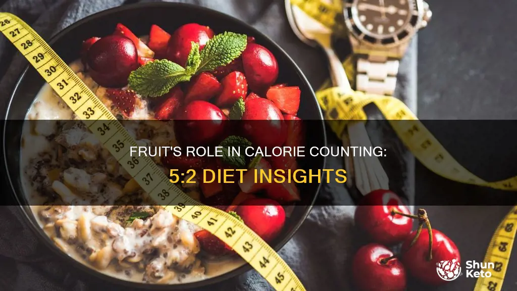 does fruit count as calories on the 5 2 diet