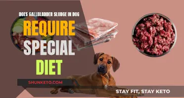 Gallbladder Sludge in Dogs: Dietary Solutions for Pet Parents