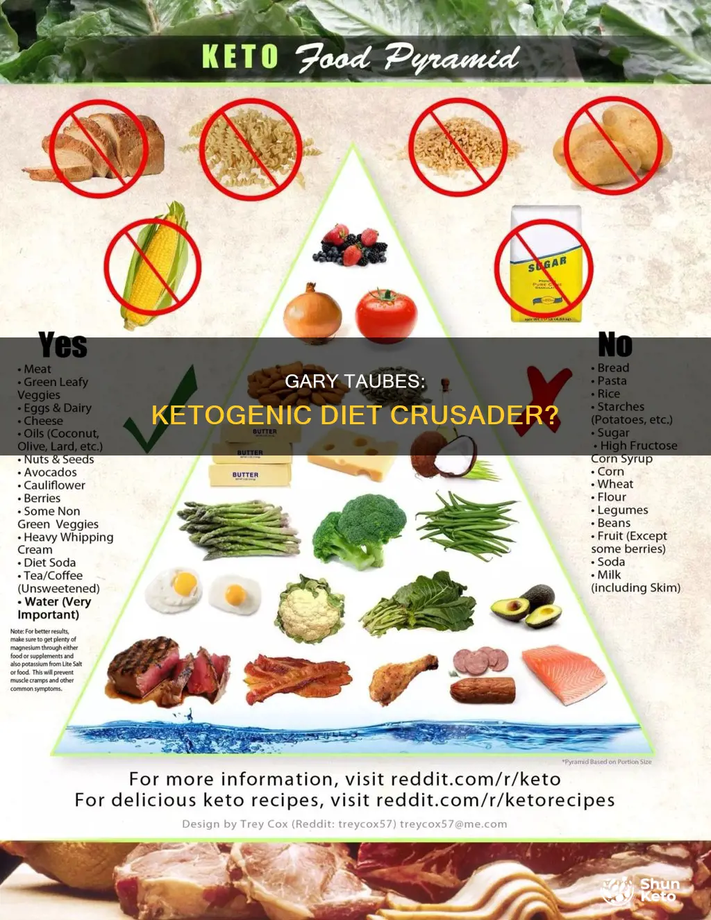 does gary taubes promote the ketogenic diet
