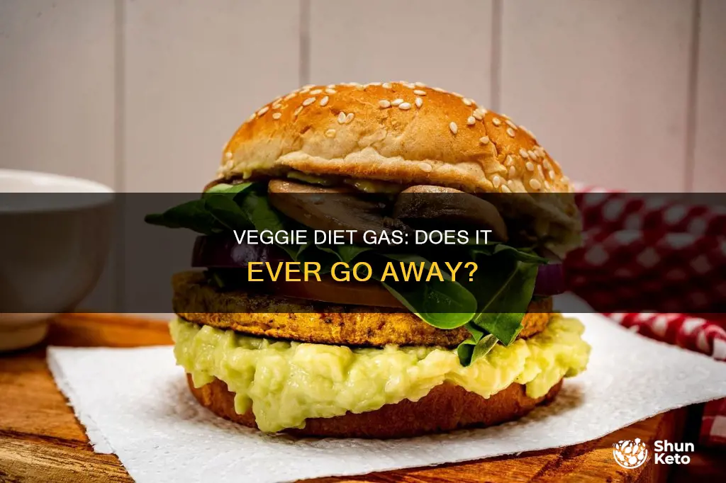 does gas from veggie diet go away