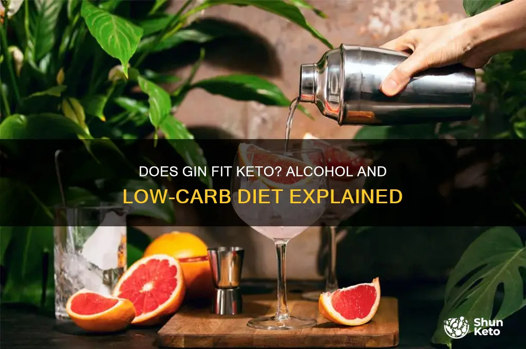 does gin break keto