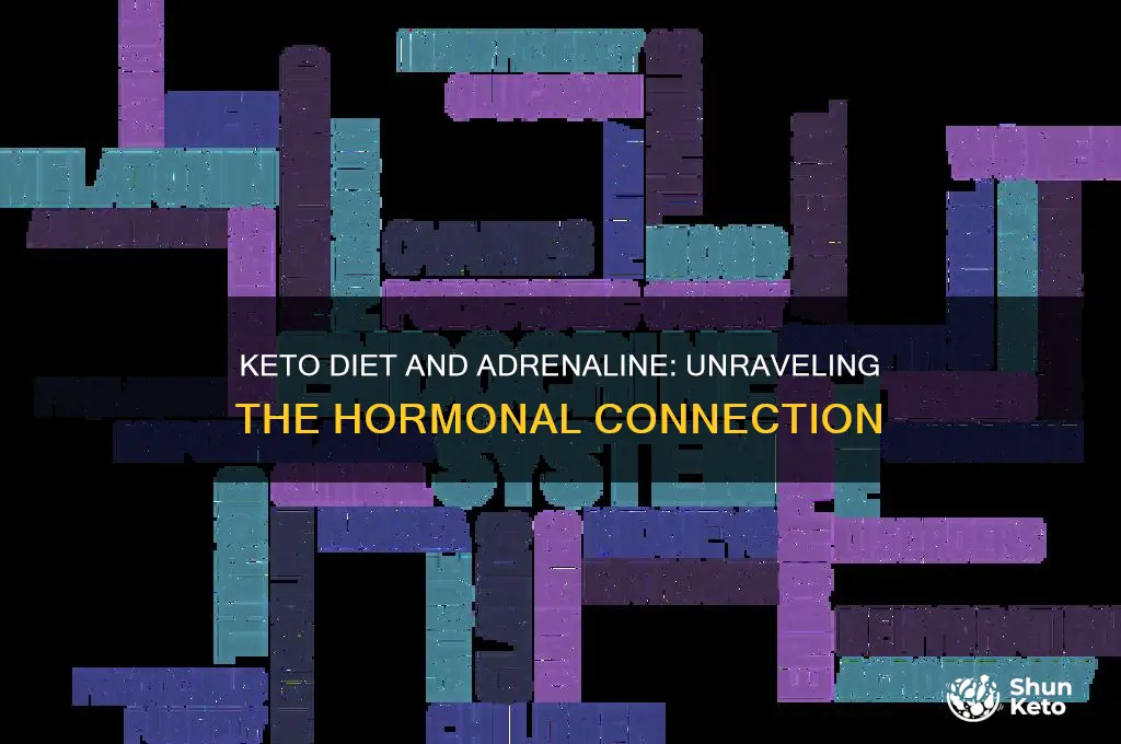 does going keto raise adrenaline in the body