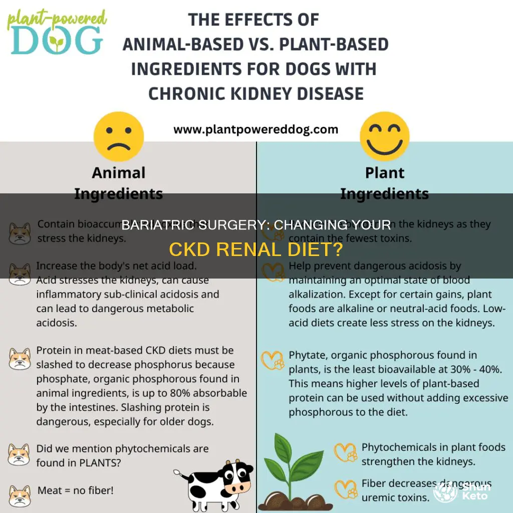 does having bariactric surgery change your ckd renal diet