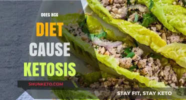 HCG Diet: Ketosis Trigger or Myth?