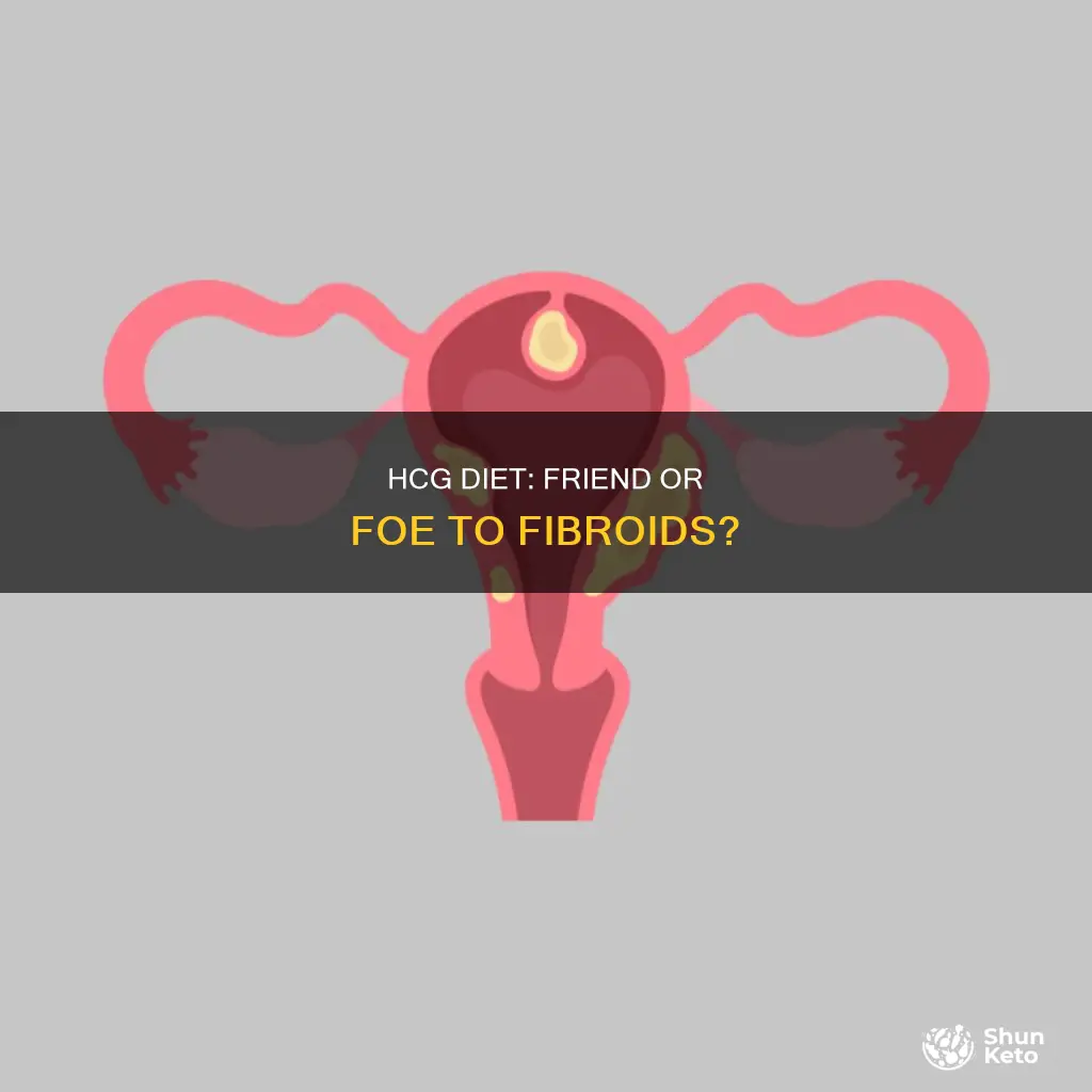 does hcg diet impact fibroids