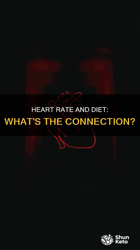 does heart rate go up during a diet