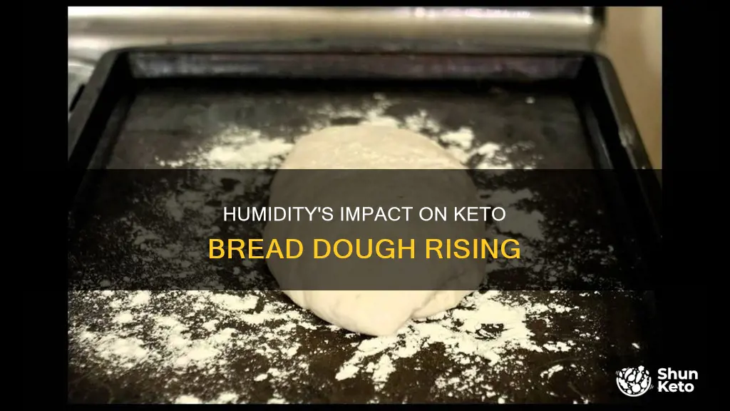 does humidity affect deidre keto bread dough rising