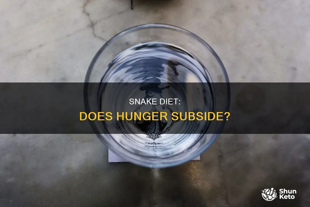does hunger go away on snake diet