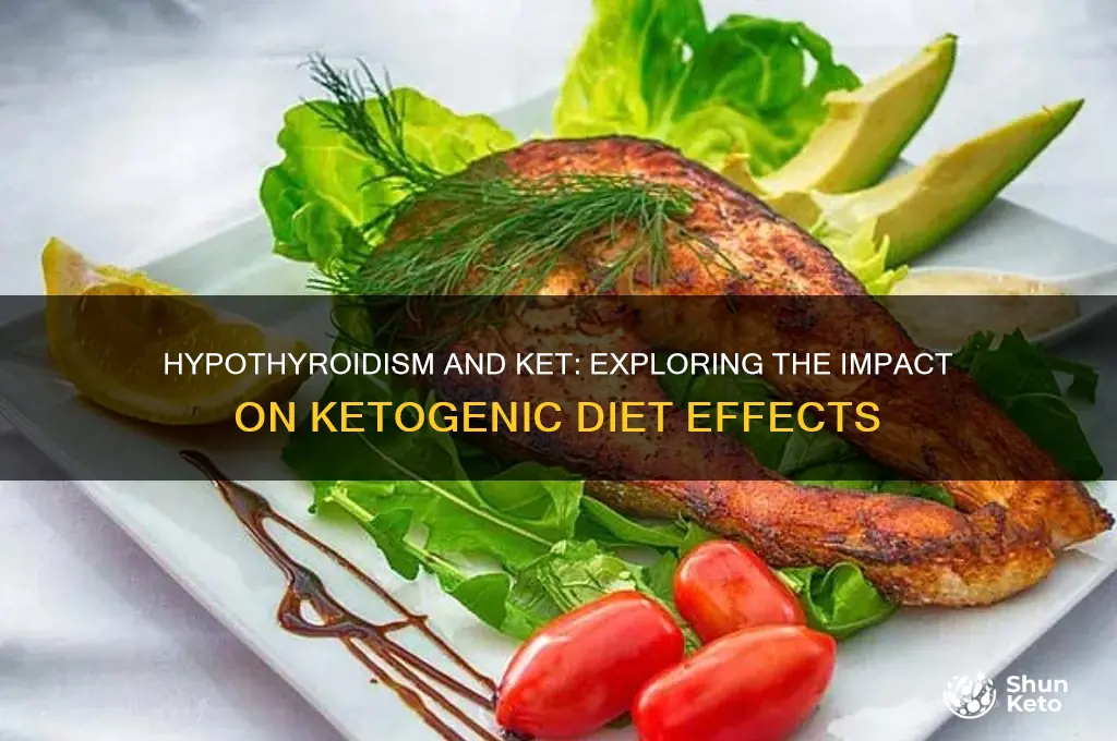 does hypothyroidism decrease the effects of ket