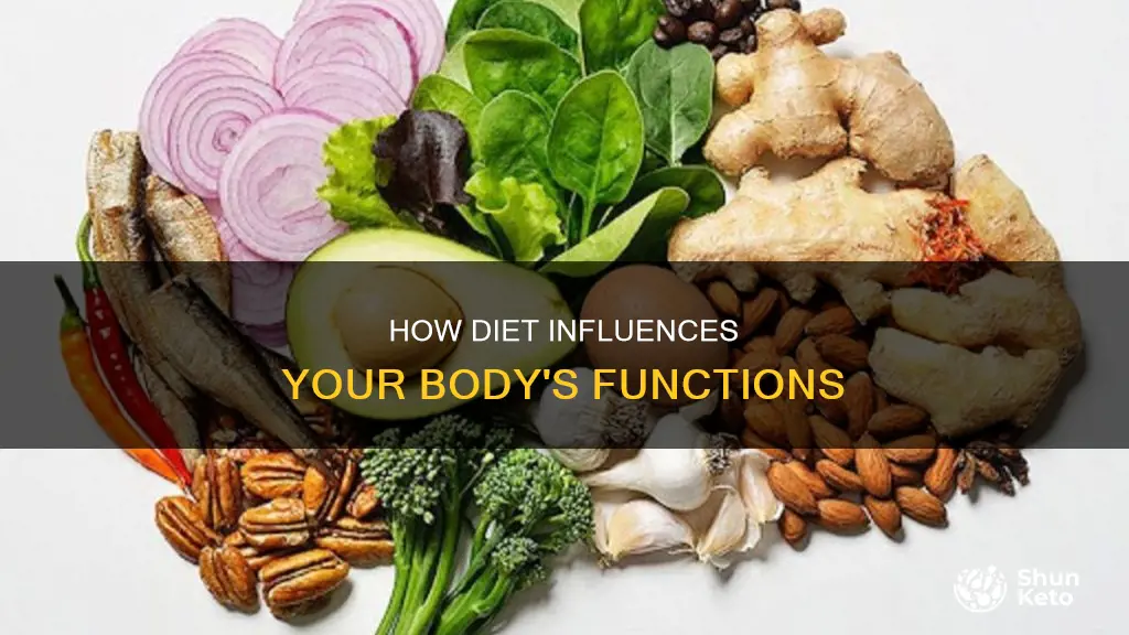 does if diet change your body funtions
