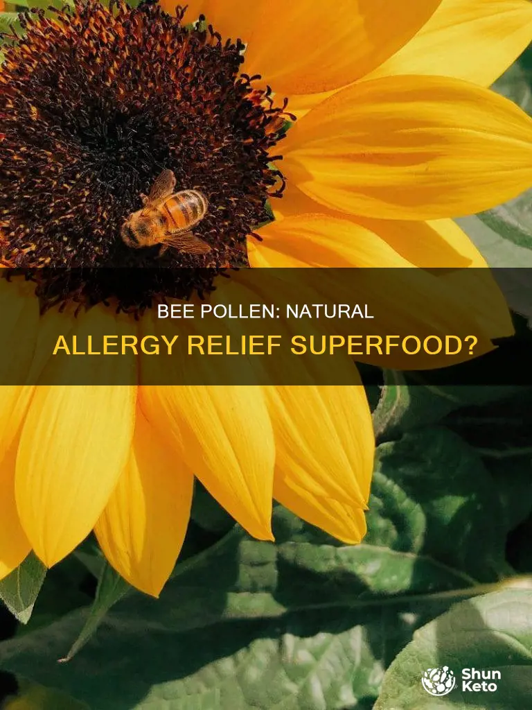 does including bee pollen in diet help with allergies