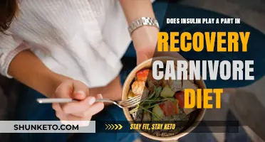 Insulin and Carnivore Diet Recovery: What's the Link?