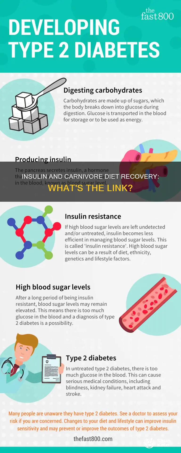 does insulin play a part in recovery carnivore diet