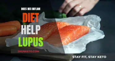 Anti-Inflammatory Diets: A Lupus Treatment?