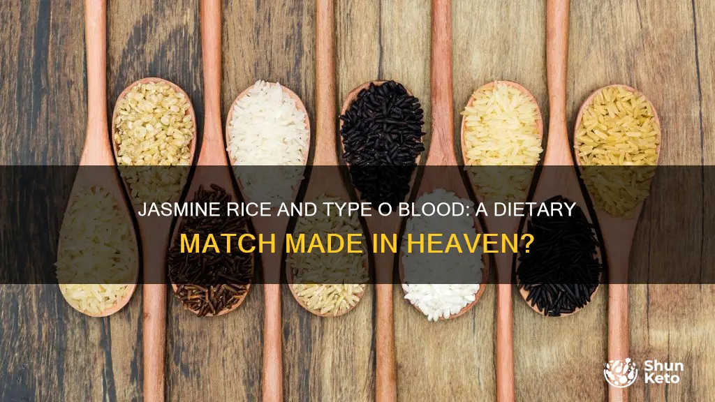 does jasmine rice fit into type o blood diet