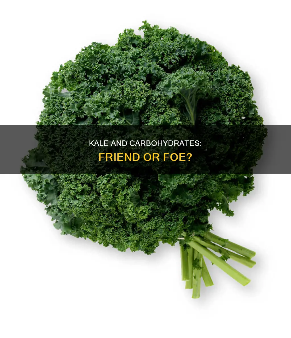 does kale have carbs