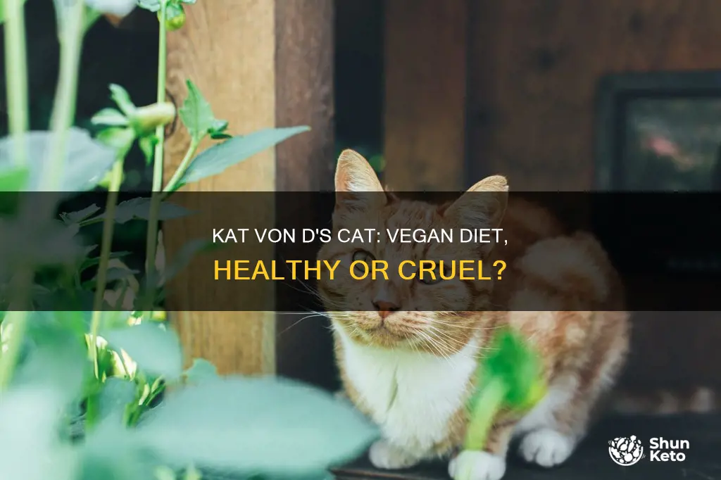 does kat von d feed her cat a vegan diet