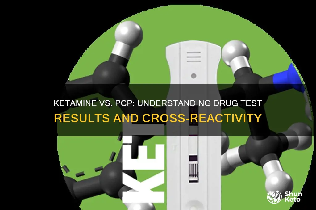 does ket come up as pcp on drug test