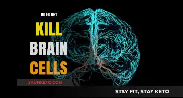 Does Ketamine Use Destroy Brain Cells? Separating Fact from Fiction