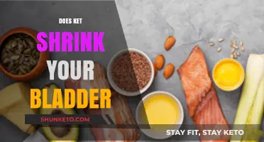 Ketogenic Diet and Bladder Size: Fact or Fiction?