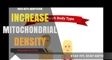 Keto-Adaptation and Mitochondrial Density: Unlocking Metabolic Efficiency
