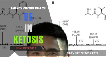 Keto Adaptation vs. Ketosis: Understanding the Difference and Benefits