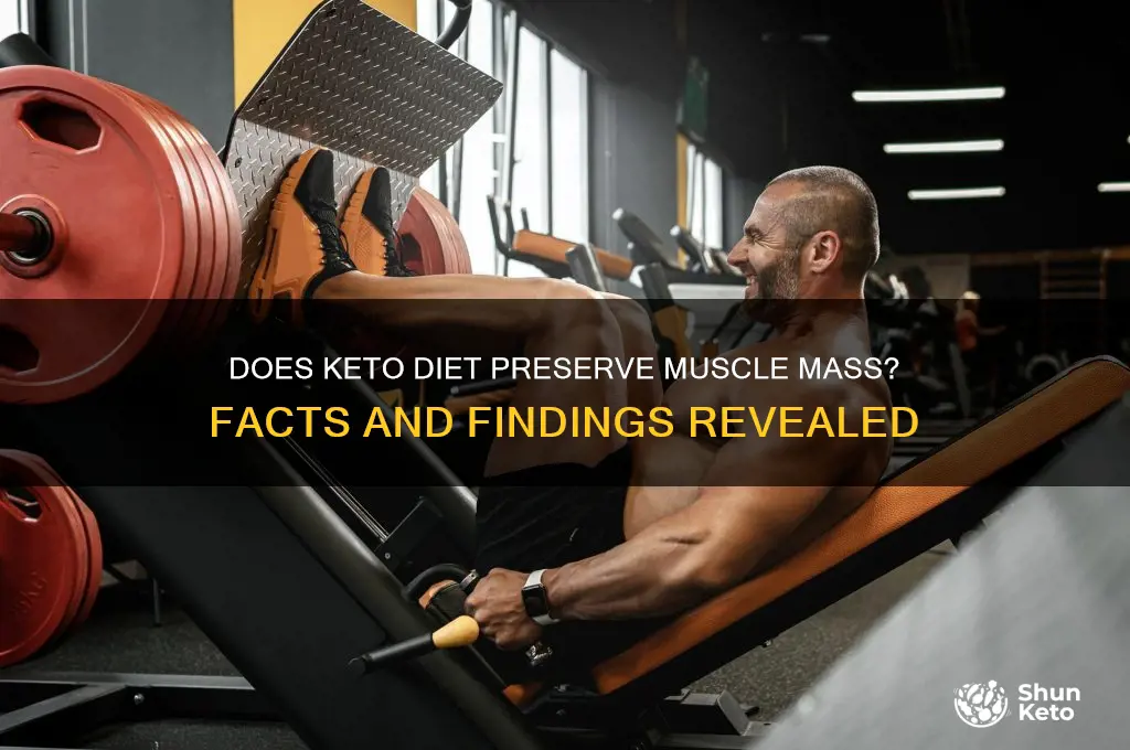 does keto affect muscle mass
