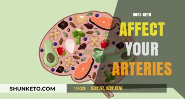 Keto and Arterial Health: Debunking Myths and Understanding Impacts