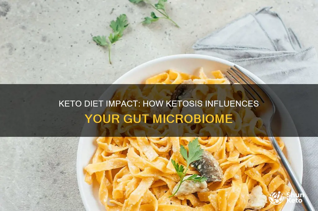 does keto affect your gut flora