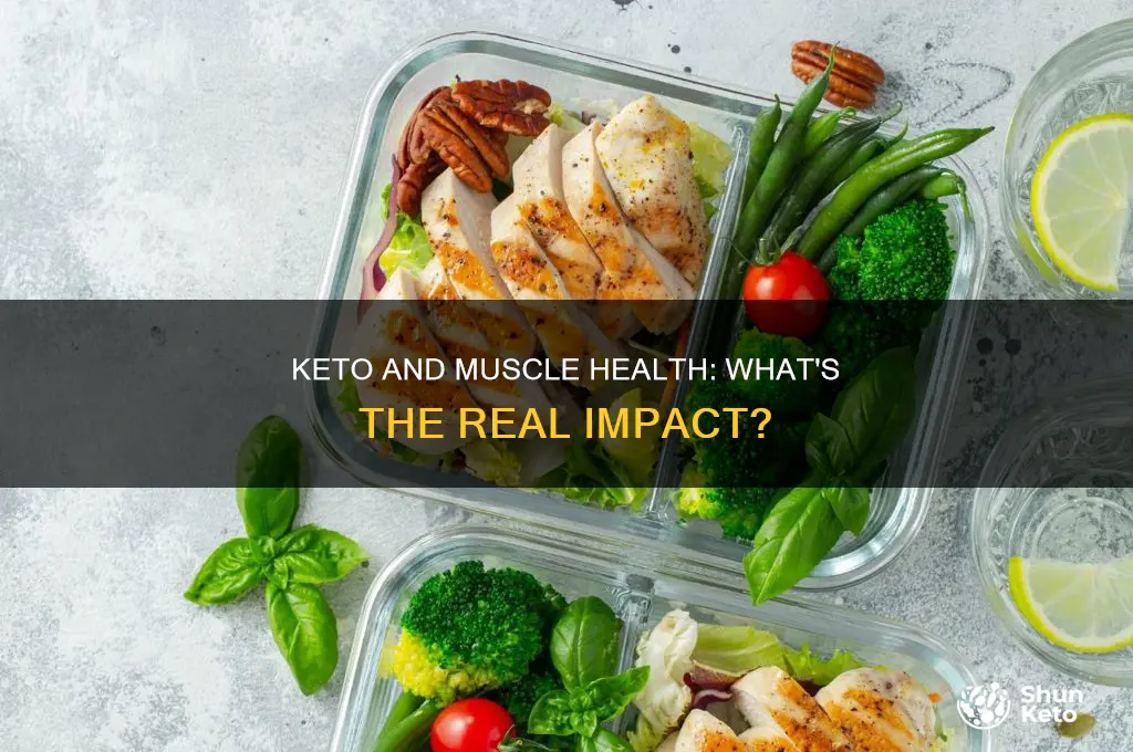 does keto affect your muscles