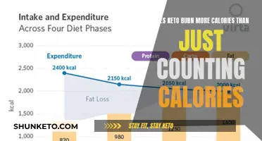 Keto vs Calorie Counting: Which Diet Burns More?