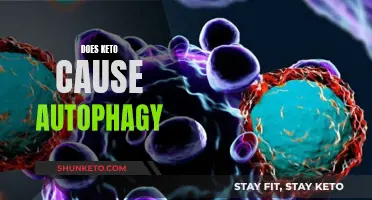 Keto and Autophagy: Exploring the Connection