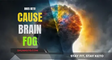 Keto and Brain Fog: What's the Real Link?