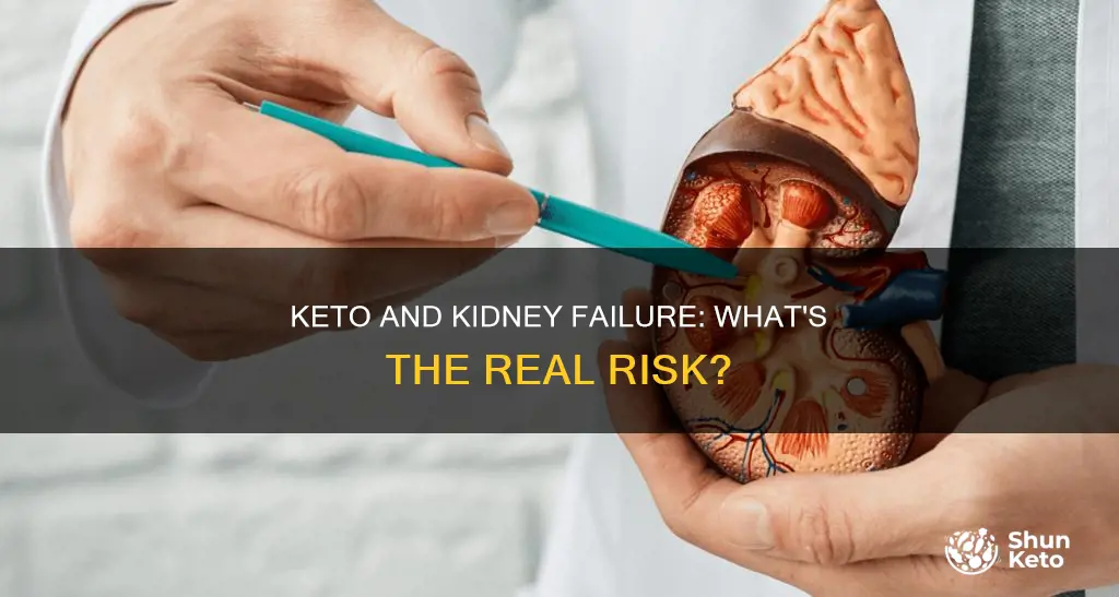 does keto cause kidney failure