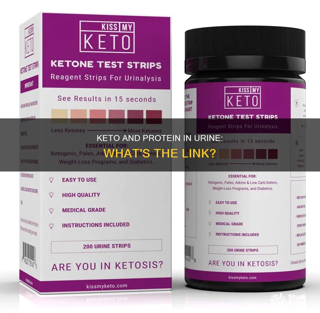 does keto cause protein in urine