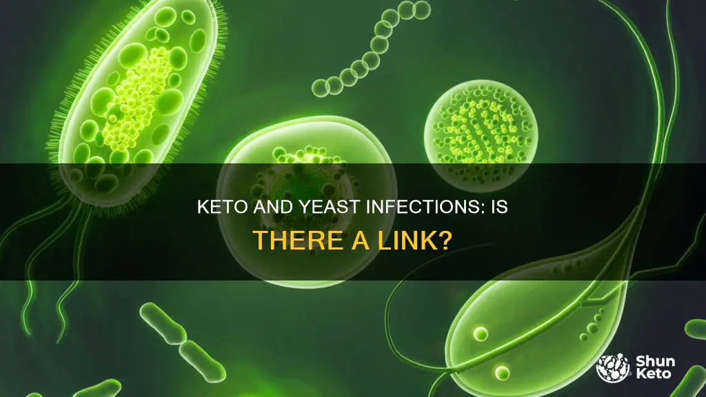 does keto cause yeast infection