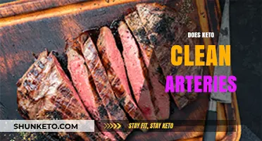 Can Keto Diet Help Clean Arteries and Improve Heart Health?