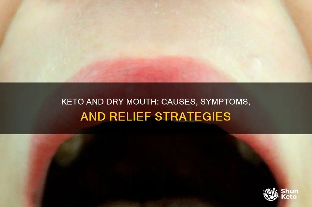 does keto csuse dry mouth
