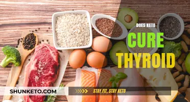 Can Keto Diet Improve Thyroid Health? Exploring the Connection